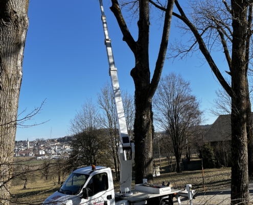 LKW Arbitsbühne Steiger auf Iveco